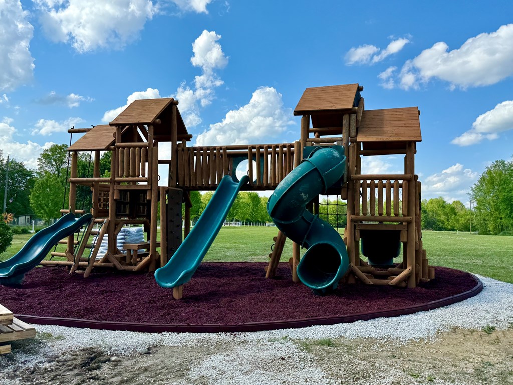 Exciting News: Our New Bear's Playground is Open!