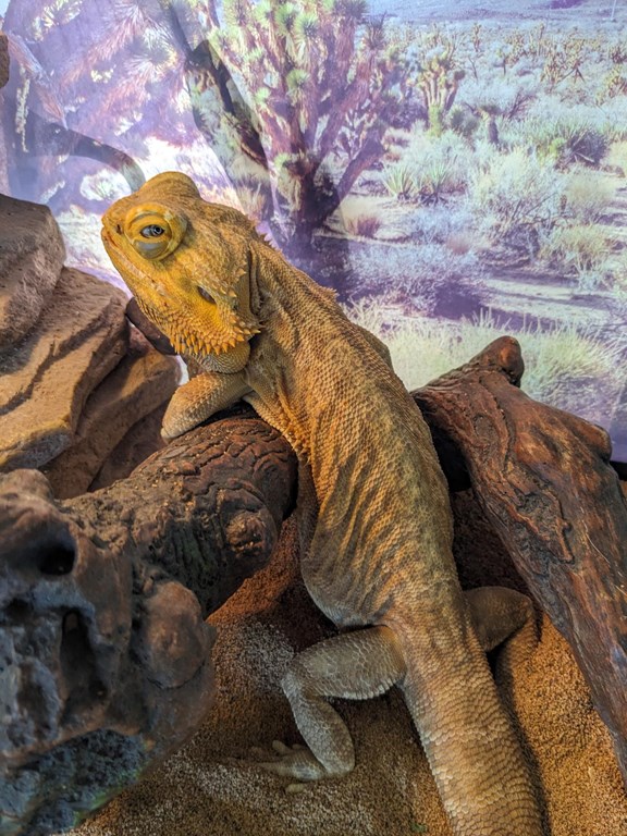 Nature Center