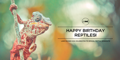 Reptile Birthday Party Weekend