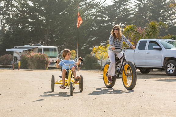 Bike Rentals