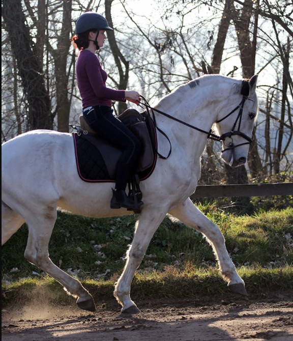 Horseback Riding
