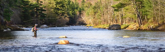 AuSable Fly Fishing