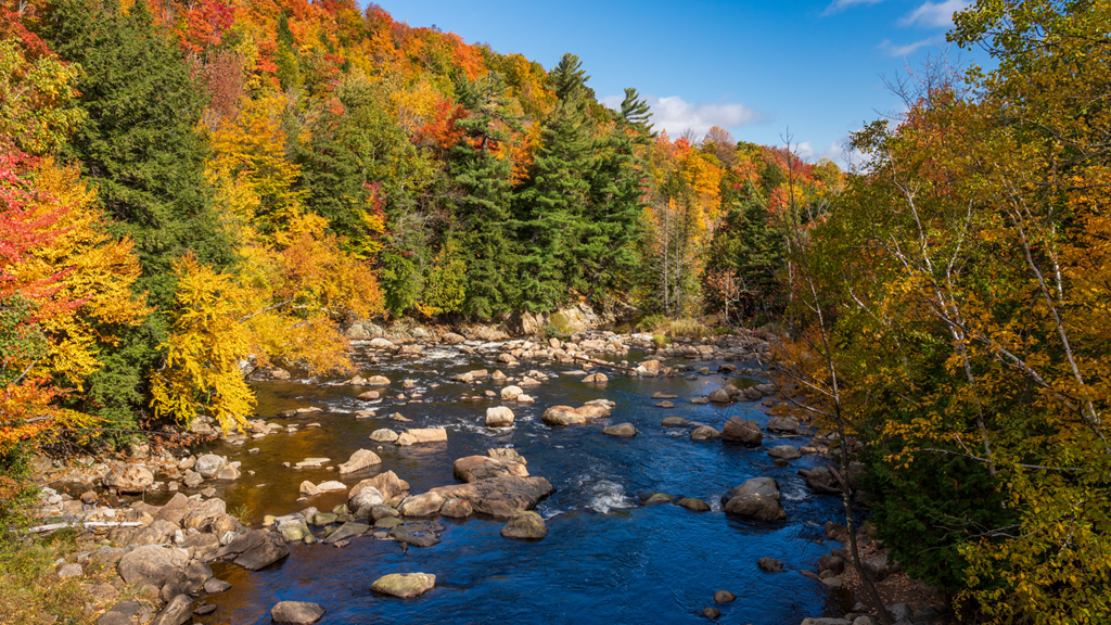 10 Things to Do in Wilmington, NY