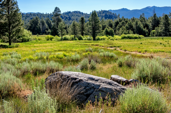 Washoe Meadows State Park