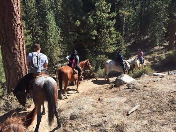 Zephyr Cove Stables