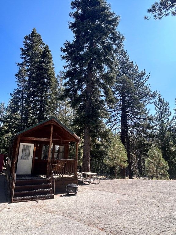 Deluxe Cabin/Lodge