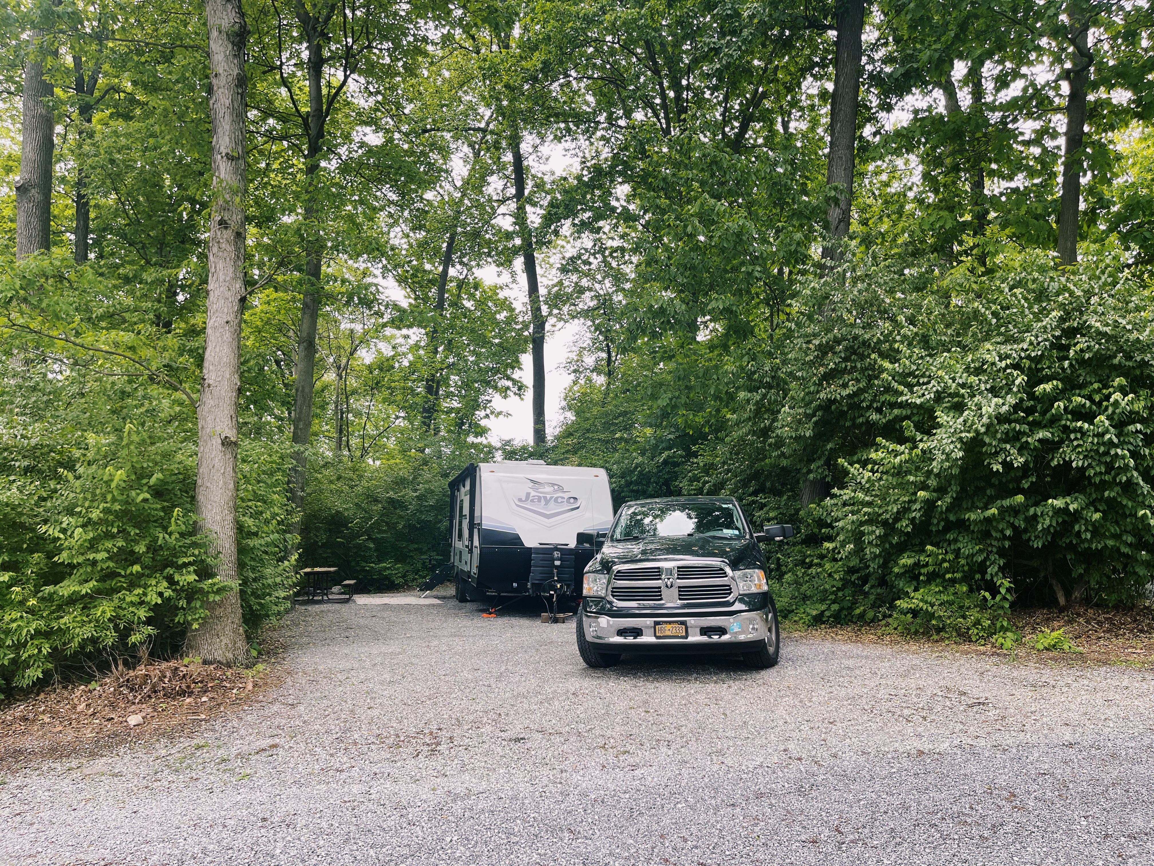 Site 5