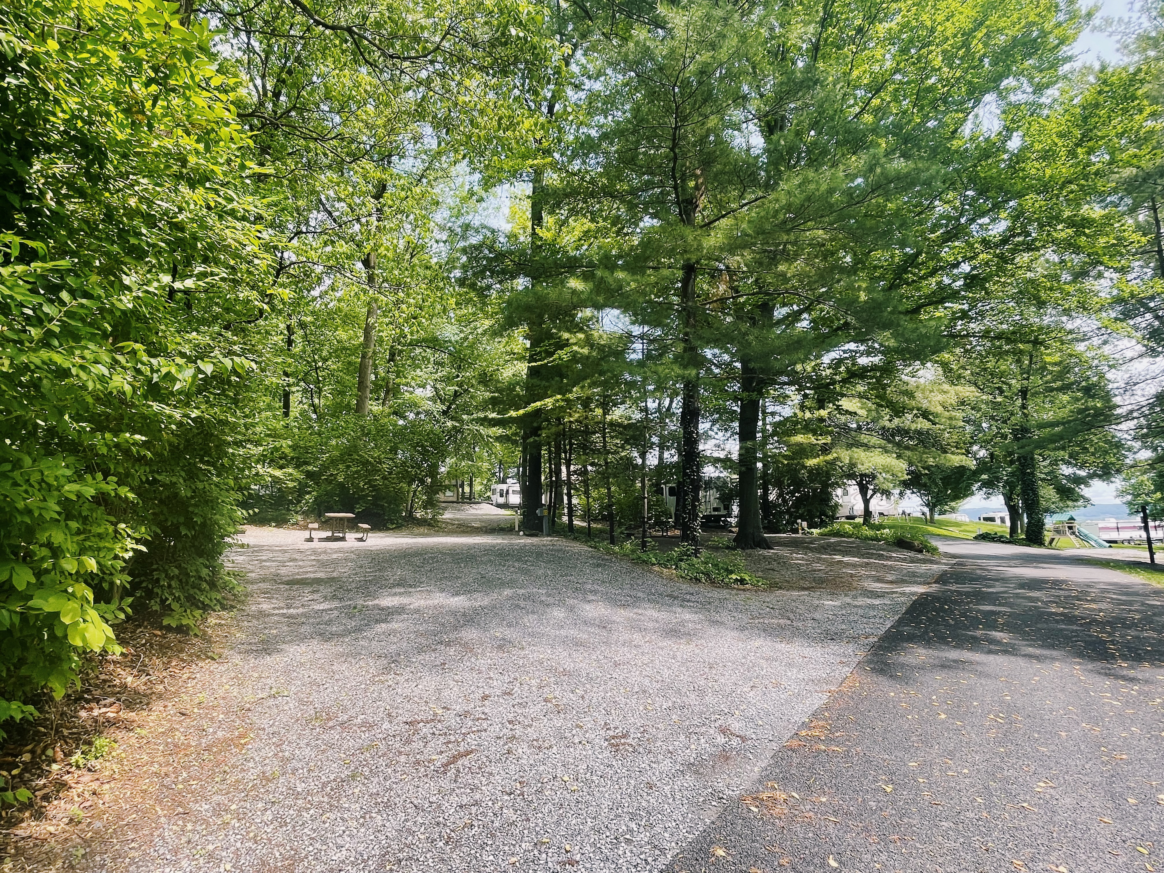 Site 23