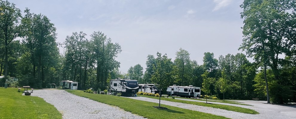 Site 110