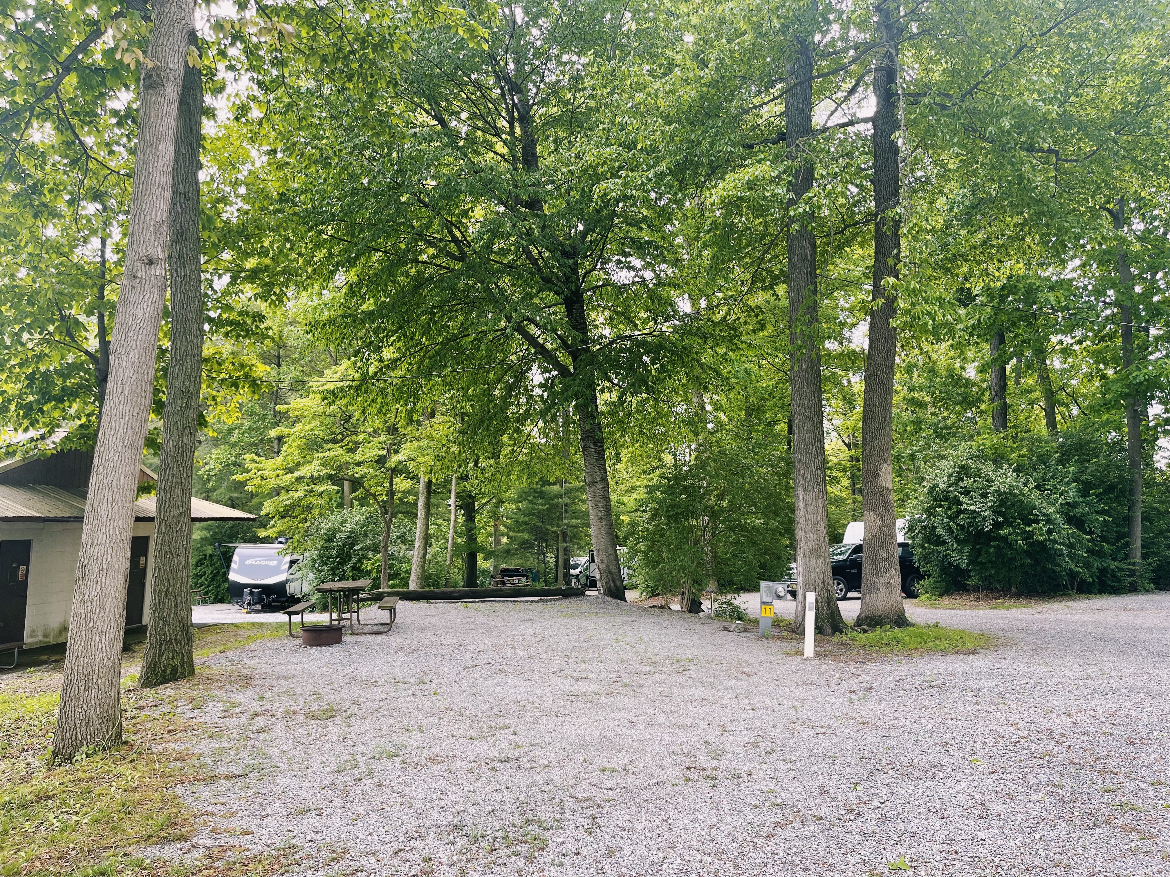 Site 11