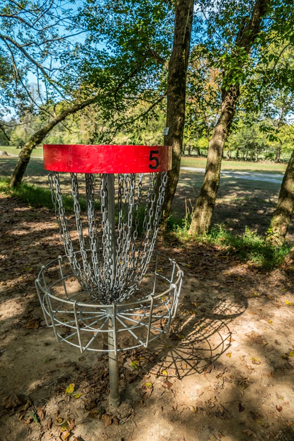 Disc Golf