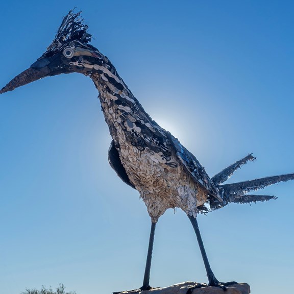 The Recycled Roadrunner