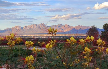 Las Cruces KOA Holiday Photo