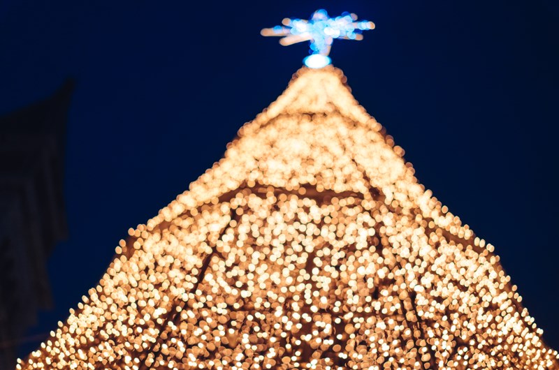 City of Las Cruces Tree Lighting Photo