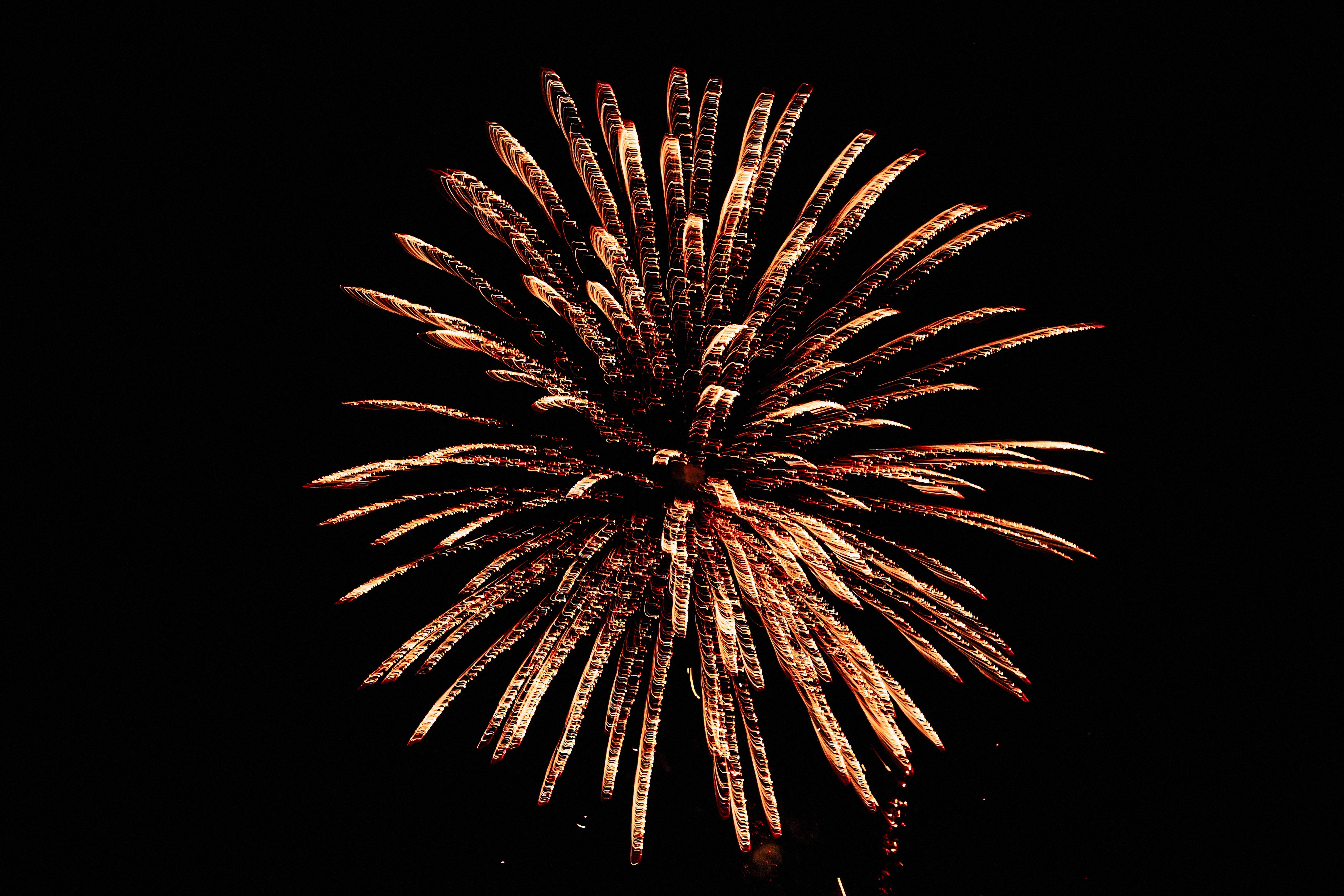 4th of July in Old Mesilla Photo