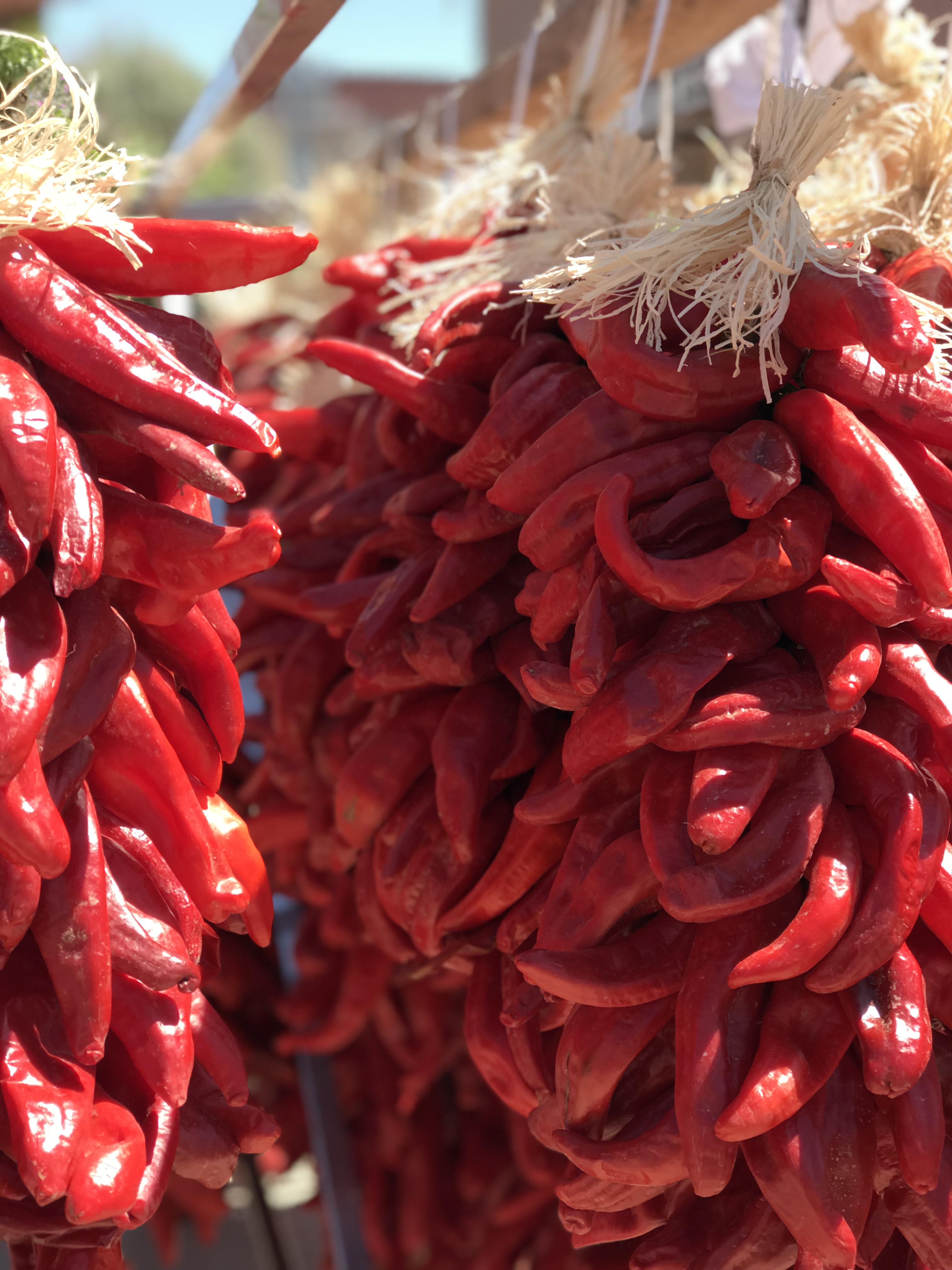 54th Annual Hatch Chile Festival Photo