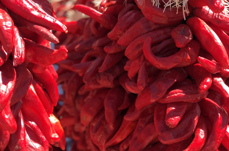 54th Annual Hatch Chile Festival Photo