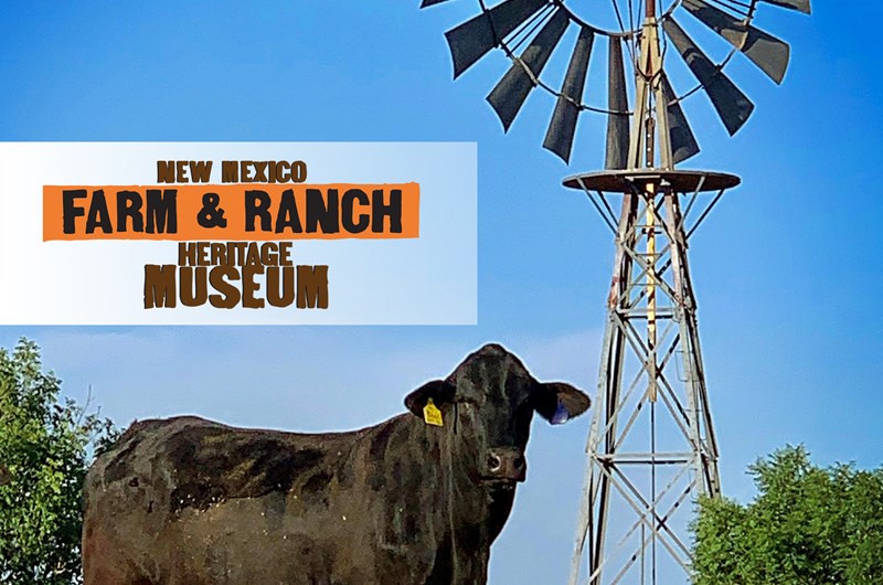 2026 Annual HomeGrown: A New Mexico Food Show & Gift Market Photo
