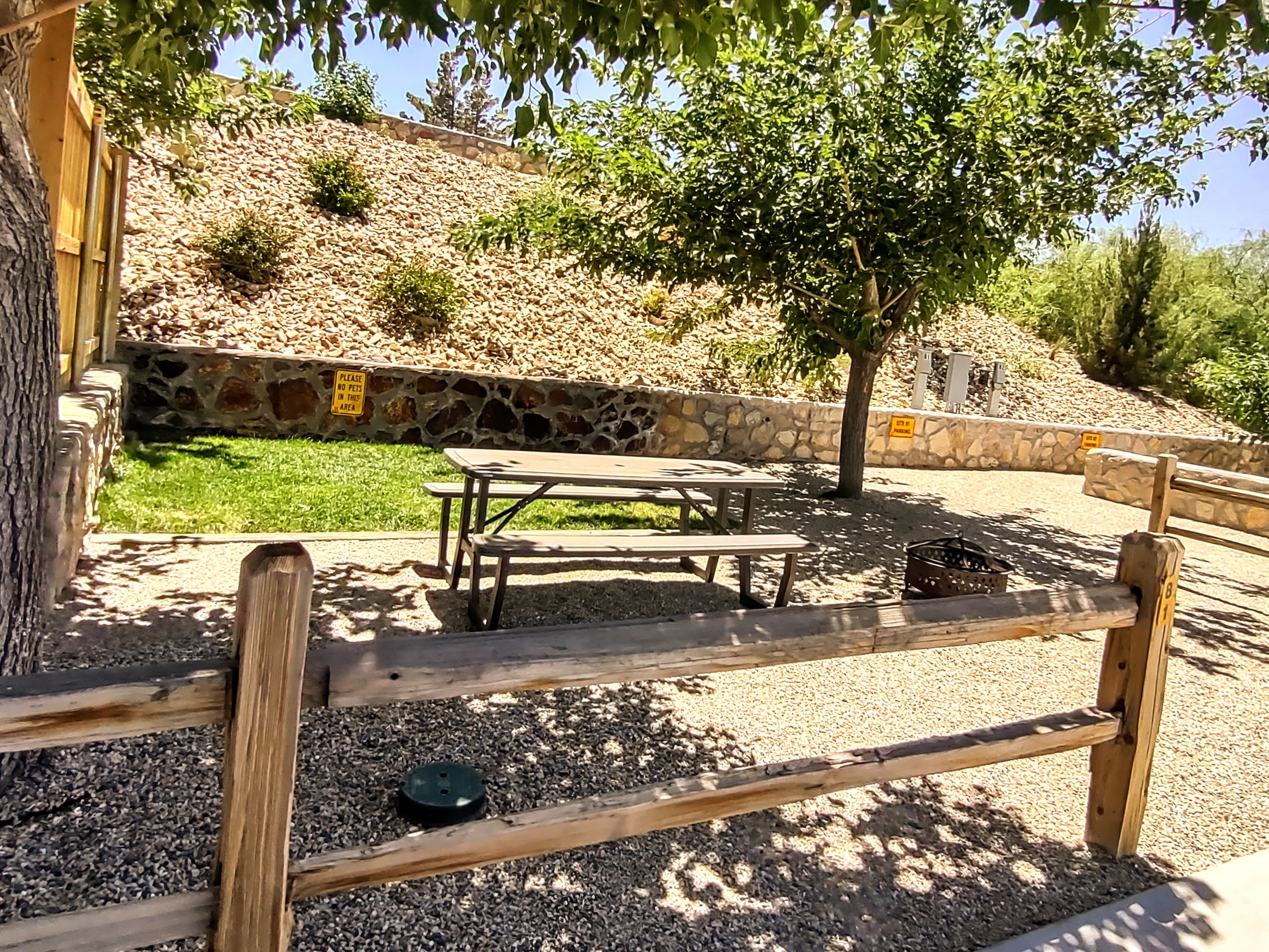 2024 Picnic Table and Fire Pit