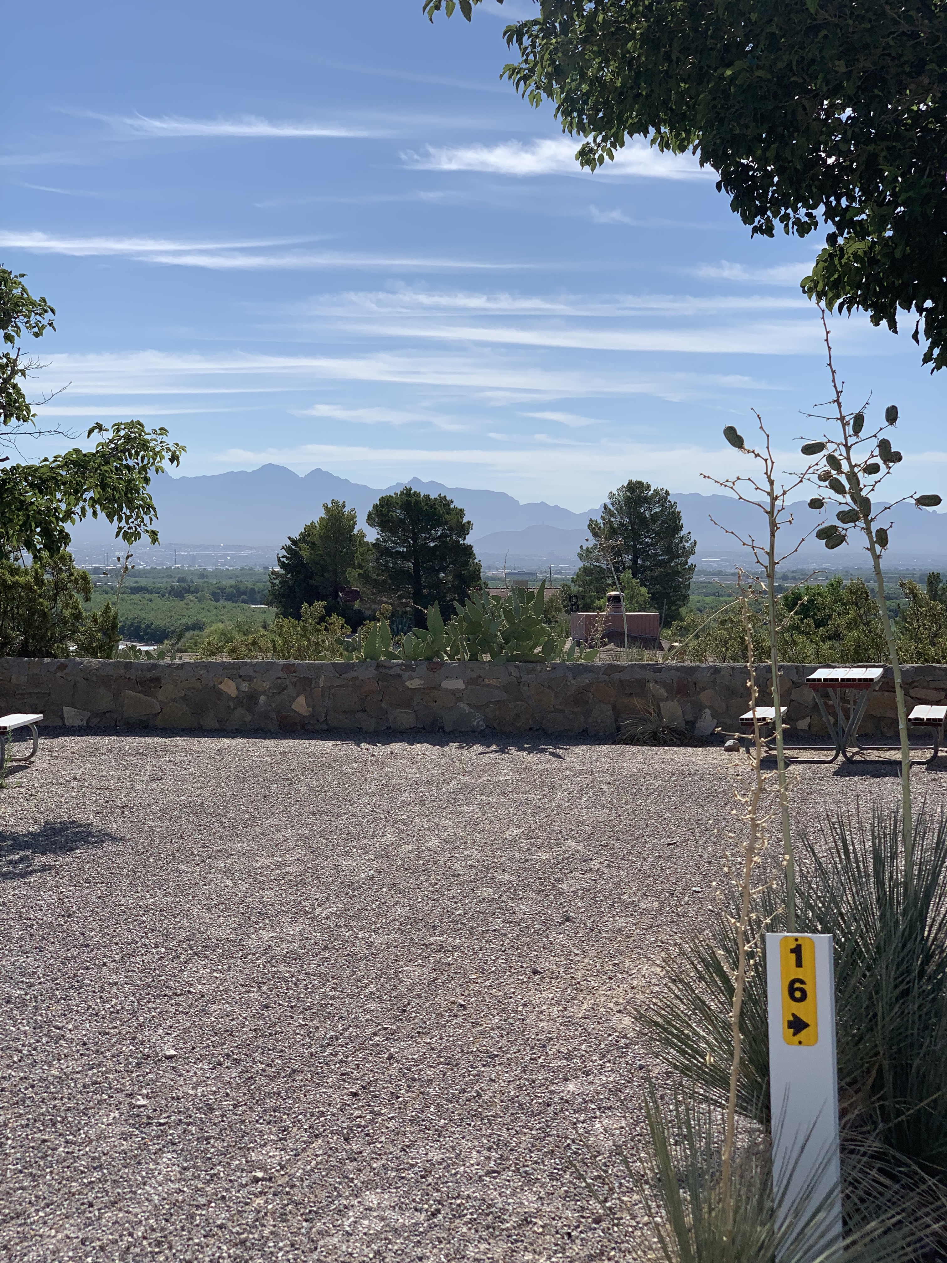 One of our lovely view sites 2020