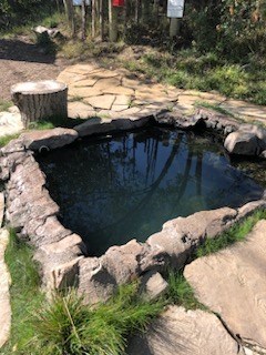 Montezuma Hot Springs