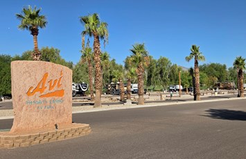 Laughlin / Avi Casino KOA Journey Photo