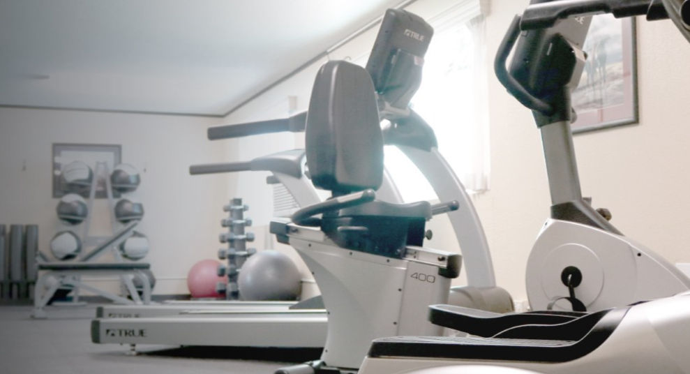 Avi Fitness Room