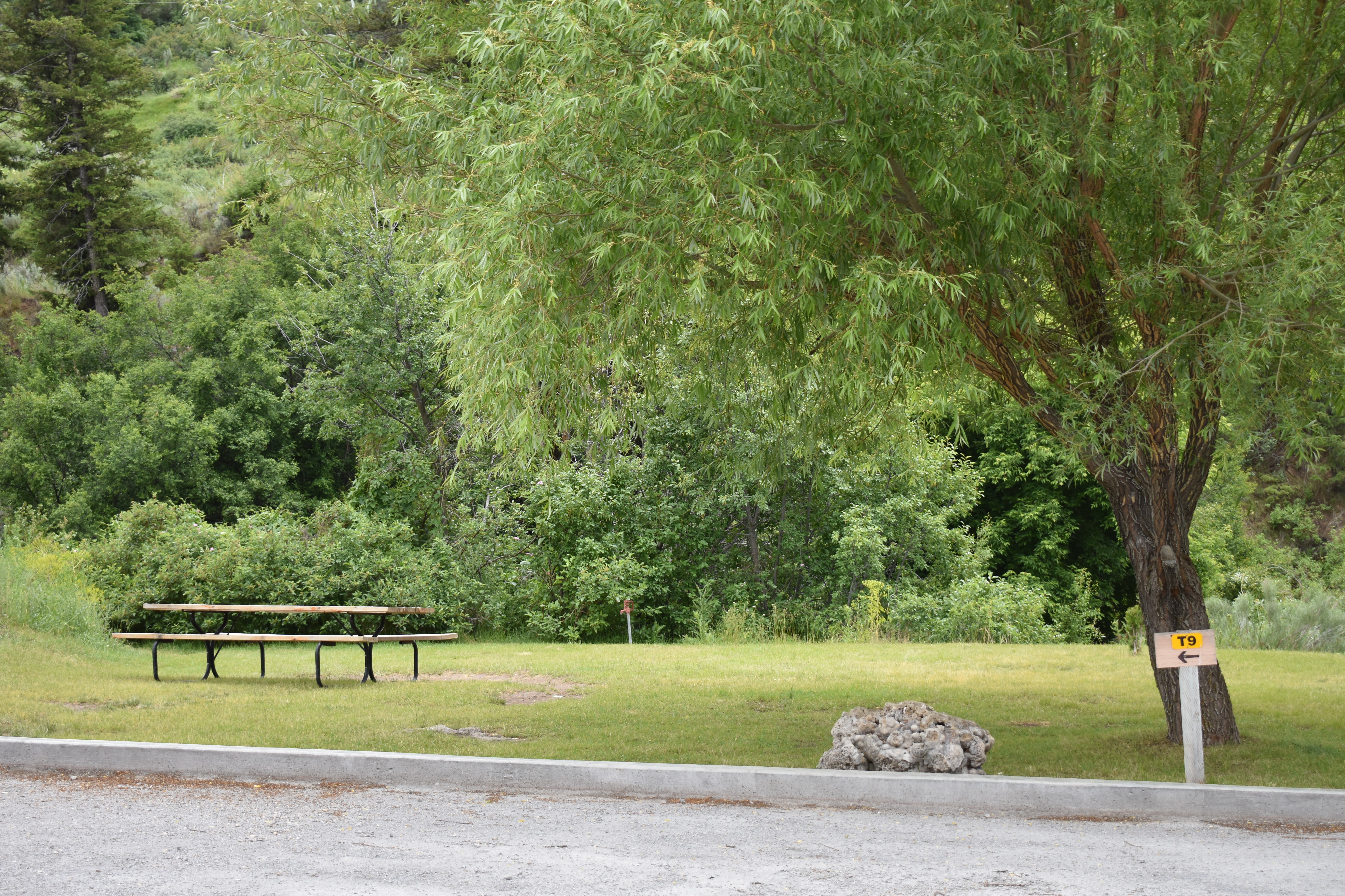 Tenting area