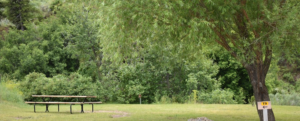 Tenting area