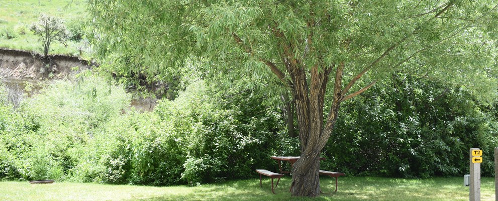Tent sites with power. Site #T2 shown in photo.