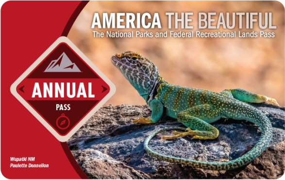 How to Make the Most of A National Park Pass