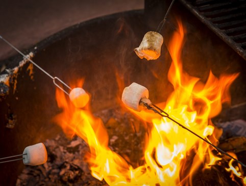 Campfire Deal Photo