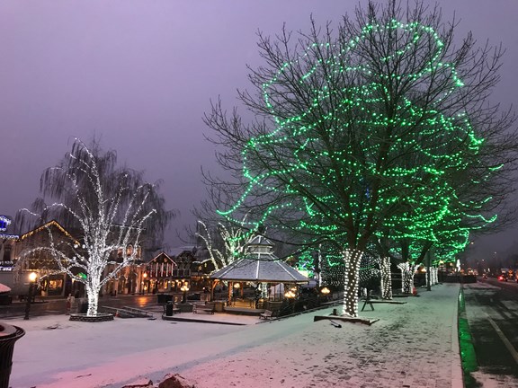 Christmas Lights!