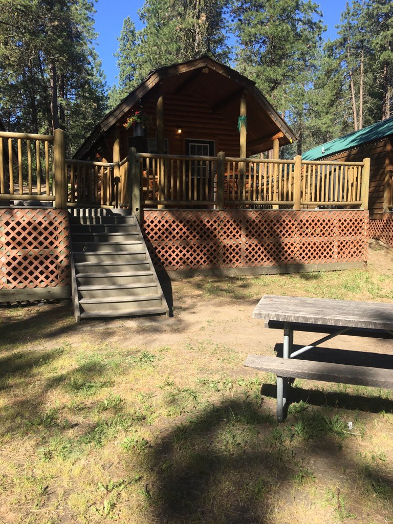 Cozy small deluxe cabin