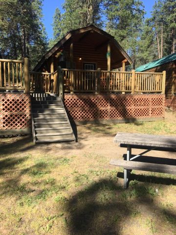 Cozy small deluxe cabin!