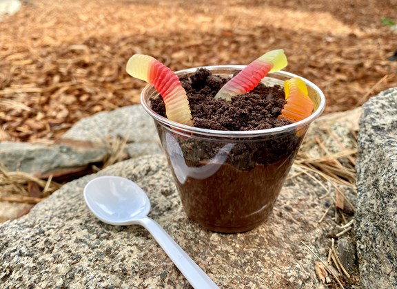 Worms and Dirt a fun activity!