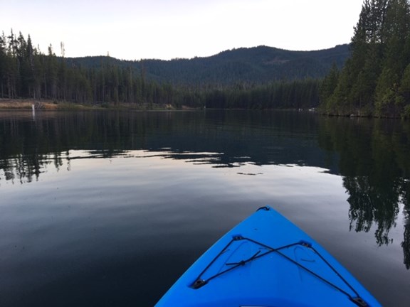 Kayak Rentals