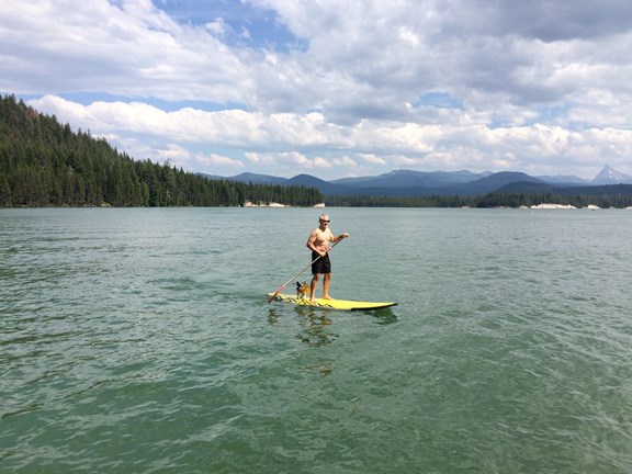 Paddle Board Rental