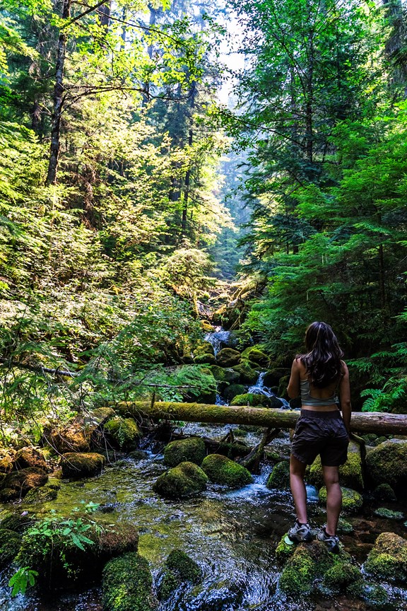 Take a Friend & Find one of our many Creeks