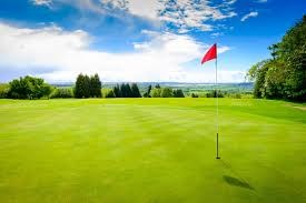 Fore the Love of Golf