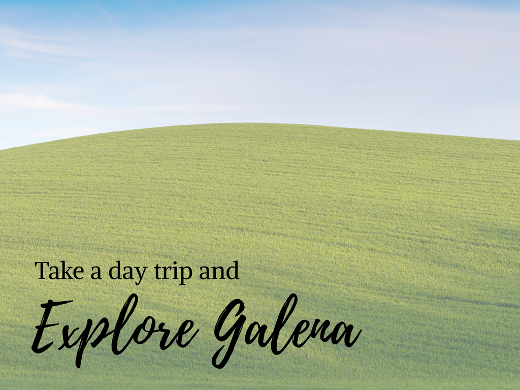Explore Galena