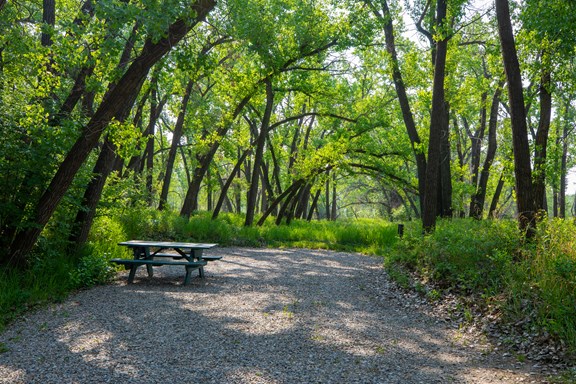 Wilderness Area