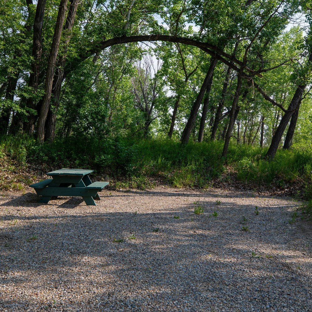 Wilderness Area