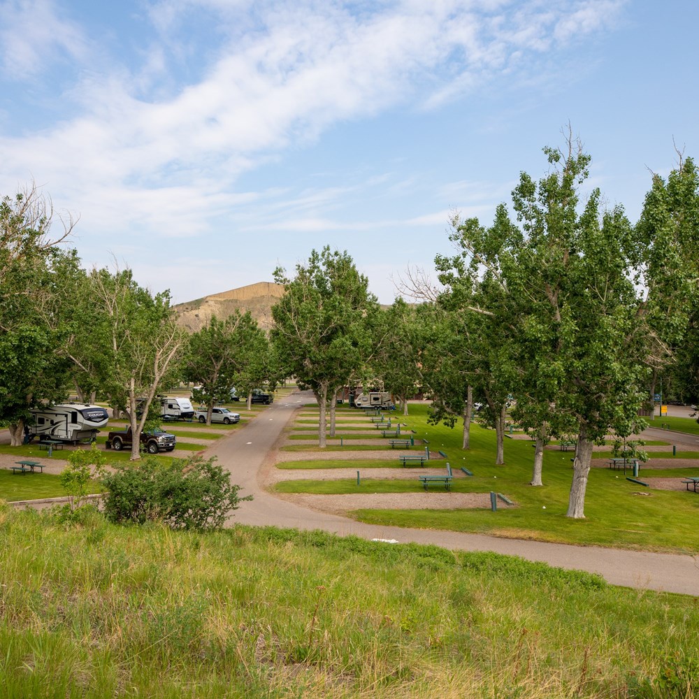 Cottonwood