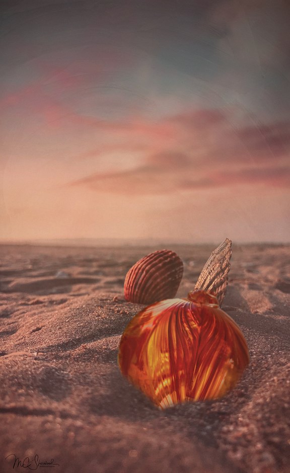 Finders Keepers - Glass Floats on the Beach