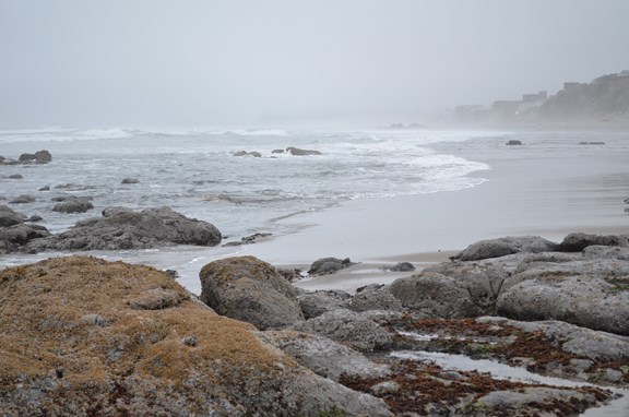 Nelscott Beach