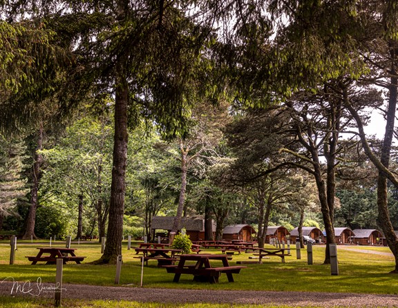 Bring your RV, your Tent, or camp out in one of our Kamping Kabins