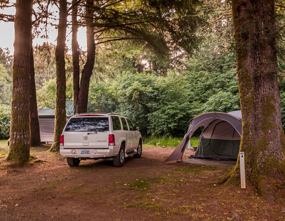 Set up your tent at one of these grassy, private sites