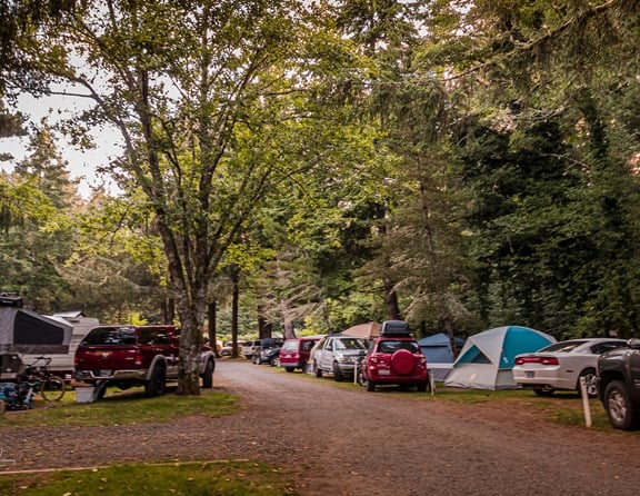 Grass below and trees above make these tent sites the best!
