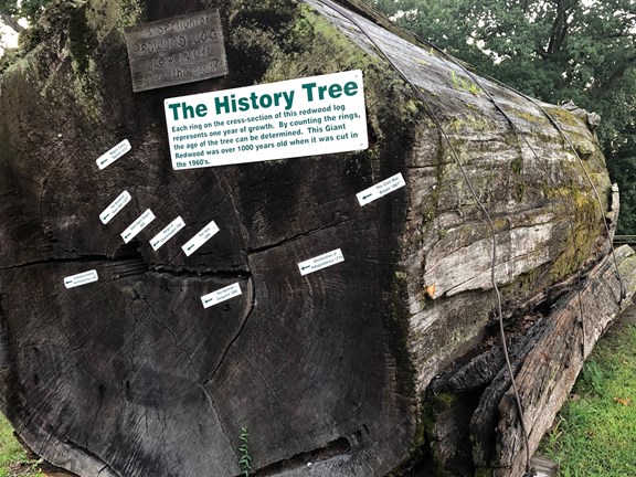 The History Tree
